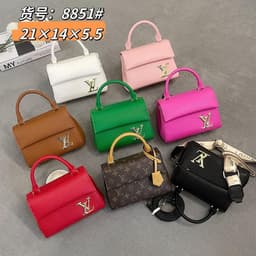 Louis Vuitton bag